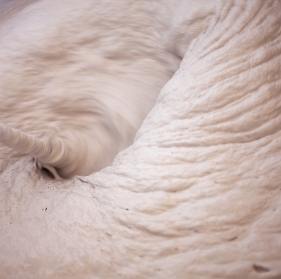 空気を浄化する